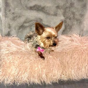 Meet your Posher, Kari